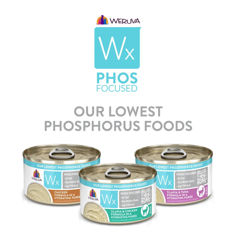 Weruva Wx Phos Focused: Low-Phosphorus Options for Cats Who Need a Little Extra Support