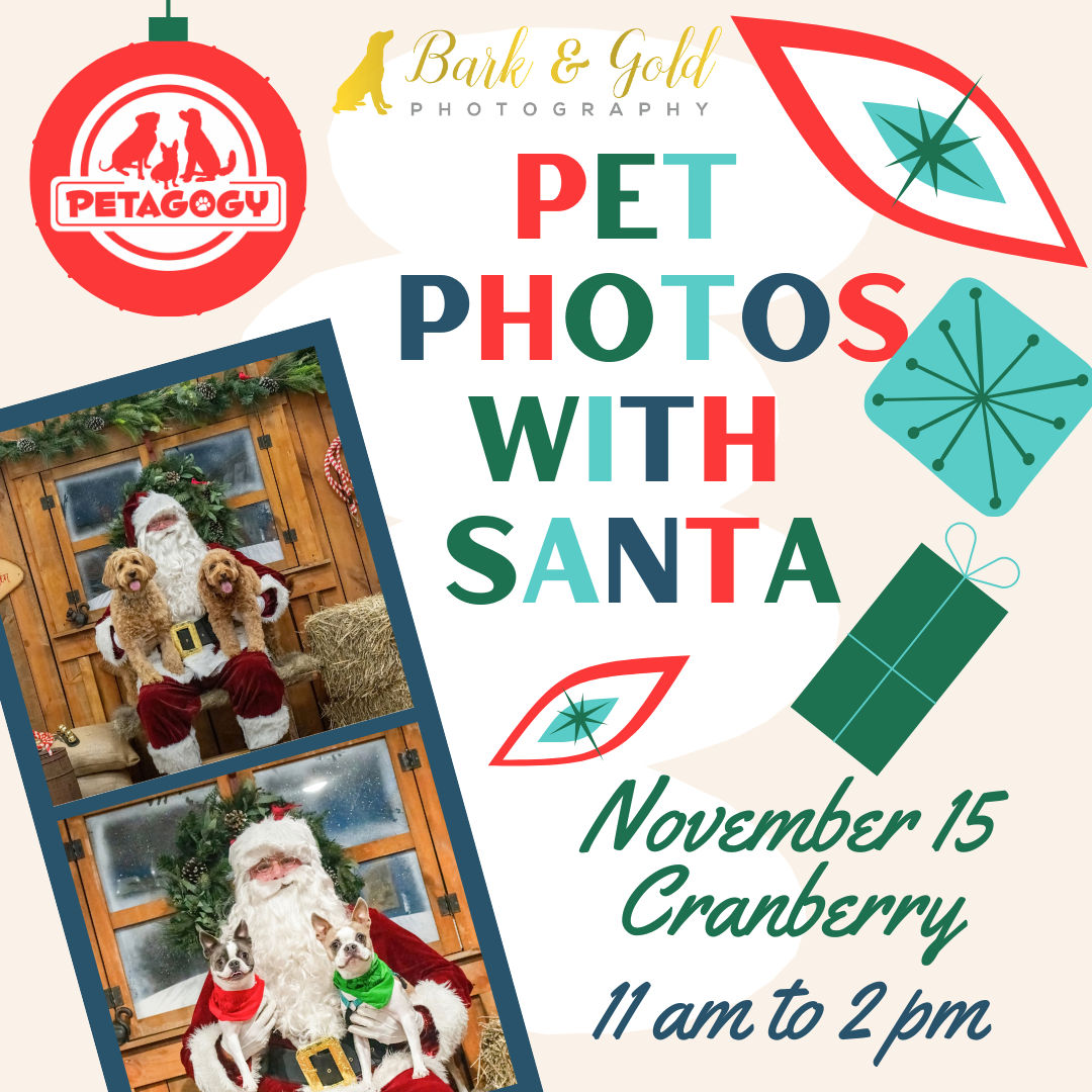 Image of Local Pet Event Pet Photos with Santa at Petagogy Cranberry Nearby
