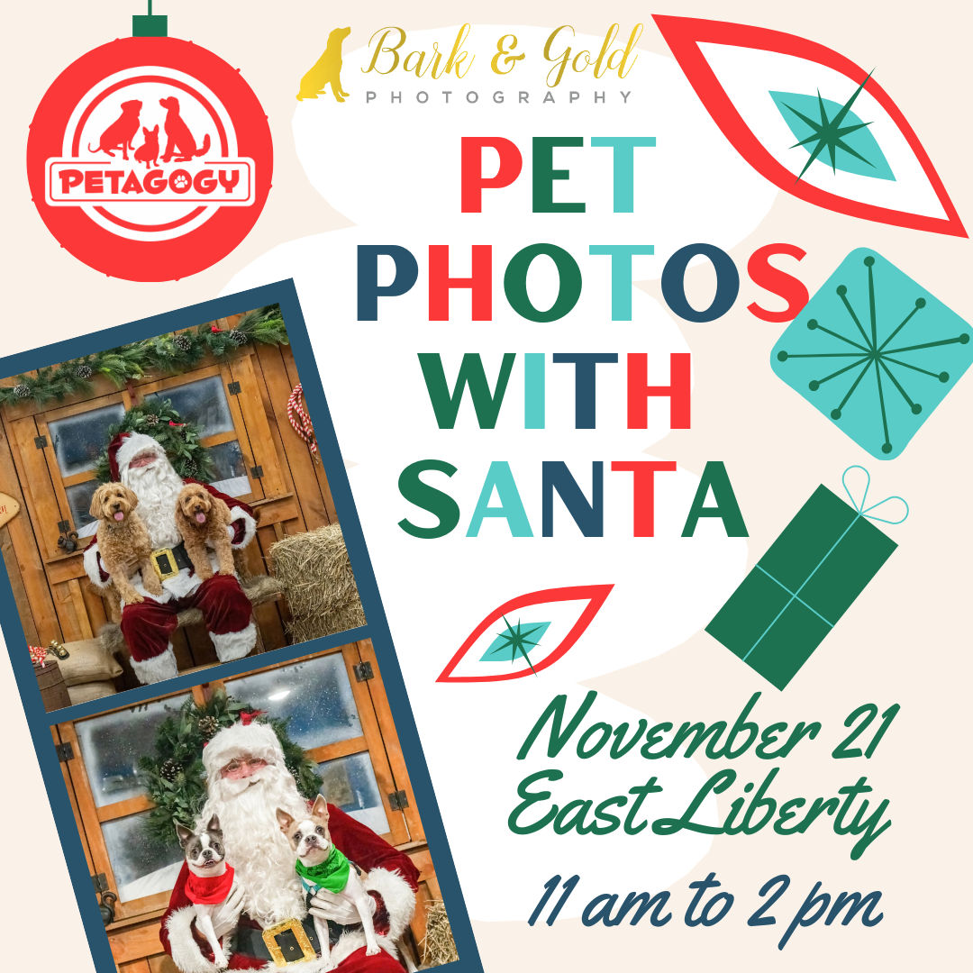 Image of Local Pet Event Pet Photos wth Santa at Petagogy East Liberty Nearby
