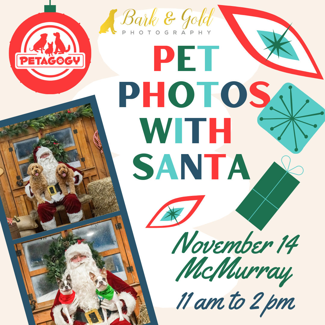 Image of Local Pet Event Pet Photos with Santa at Petagogy South Hills Nearby