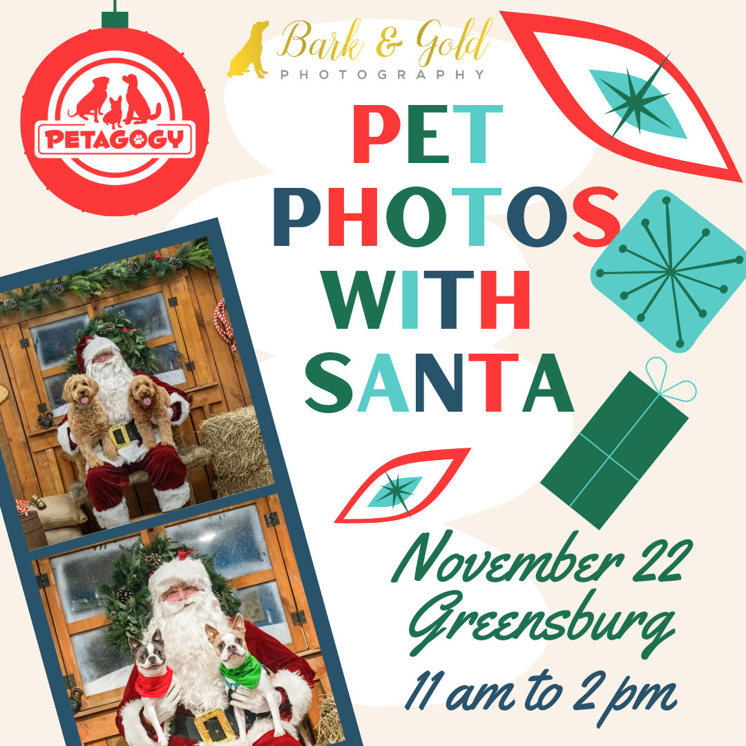 Image of Local Pet Event Pet Photos with Santa at Petagogy Greensburg Nearby