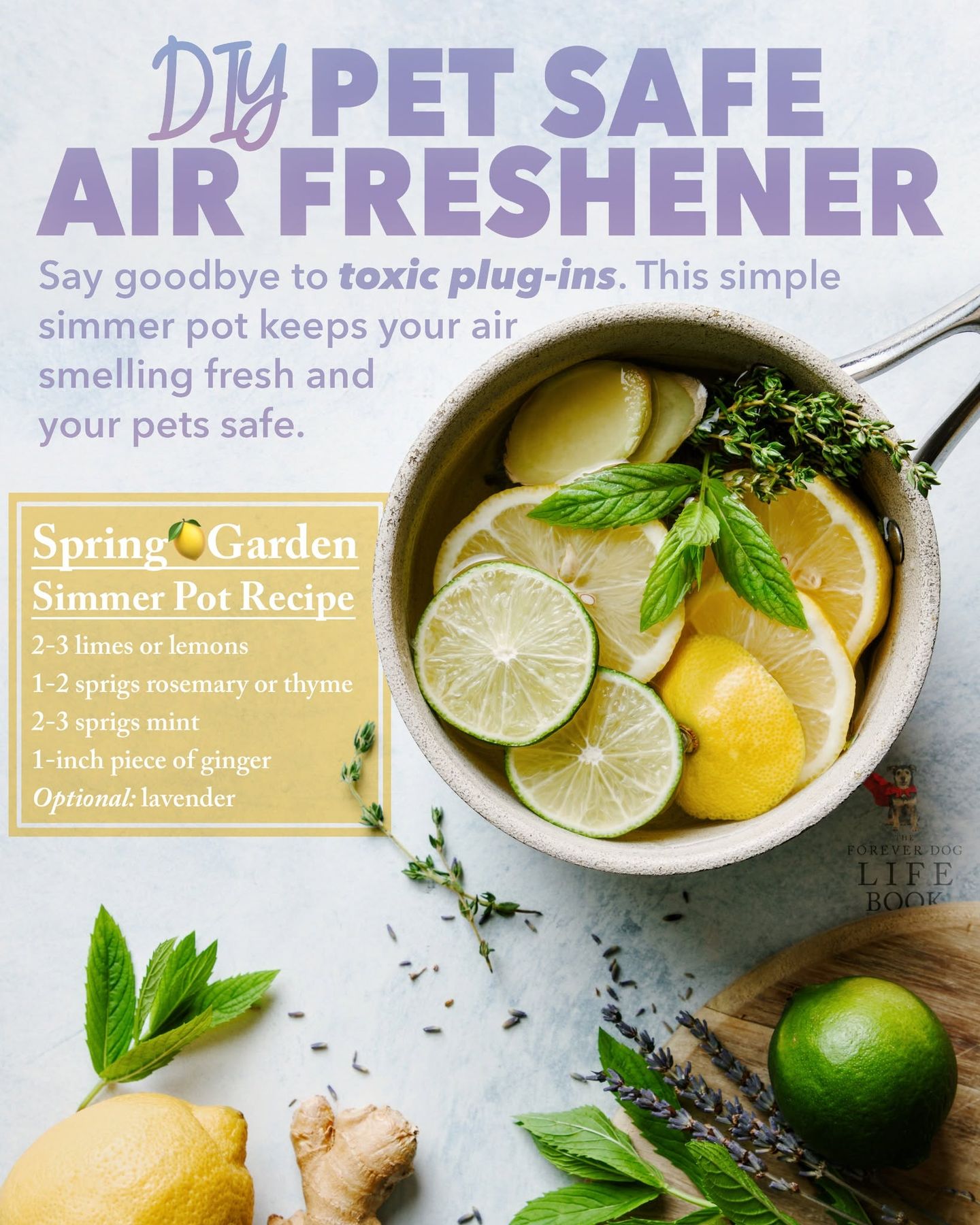 The Hidden Dangers of Air Fresheners for Dogs: What Pet Owners Should Know
