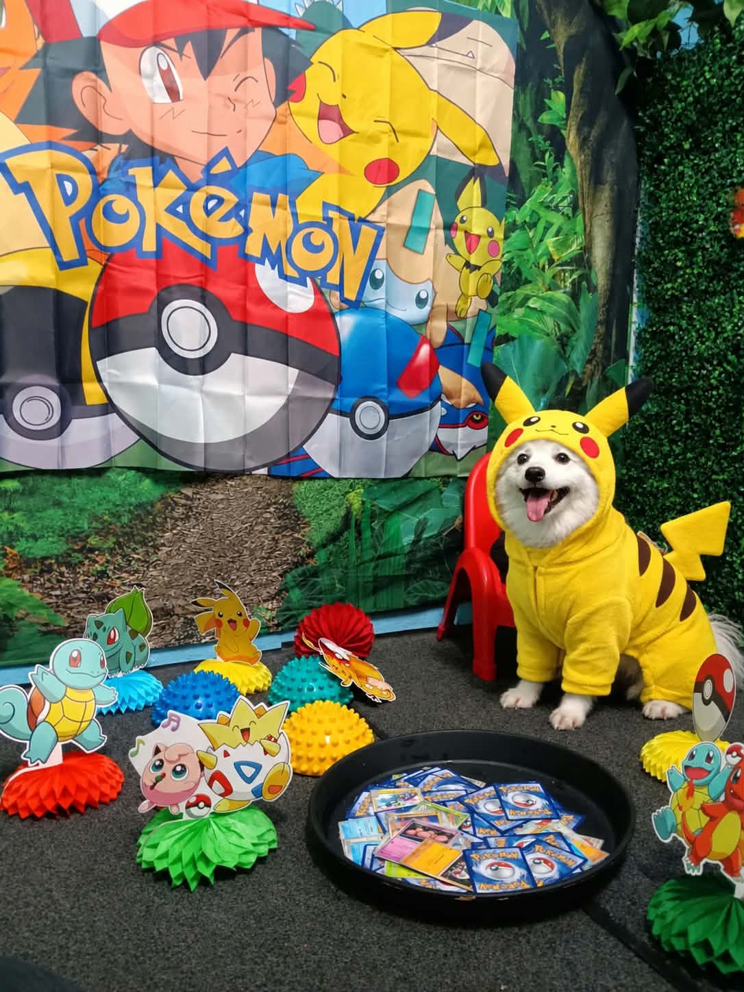What Makes Molly's Mutt House Different? | Houston Dog Daycare