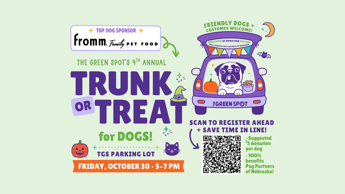 Image of Local Pet Event The Green Spot’s 4th Annual Trunk or Treat for Dogs! Nearby