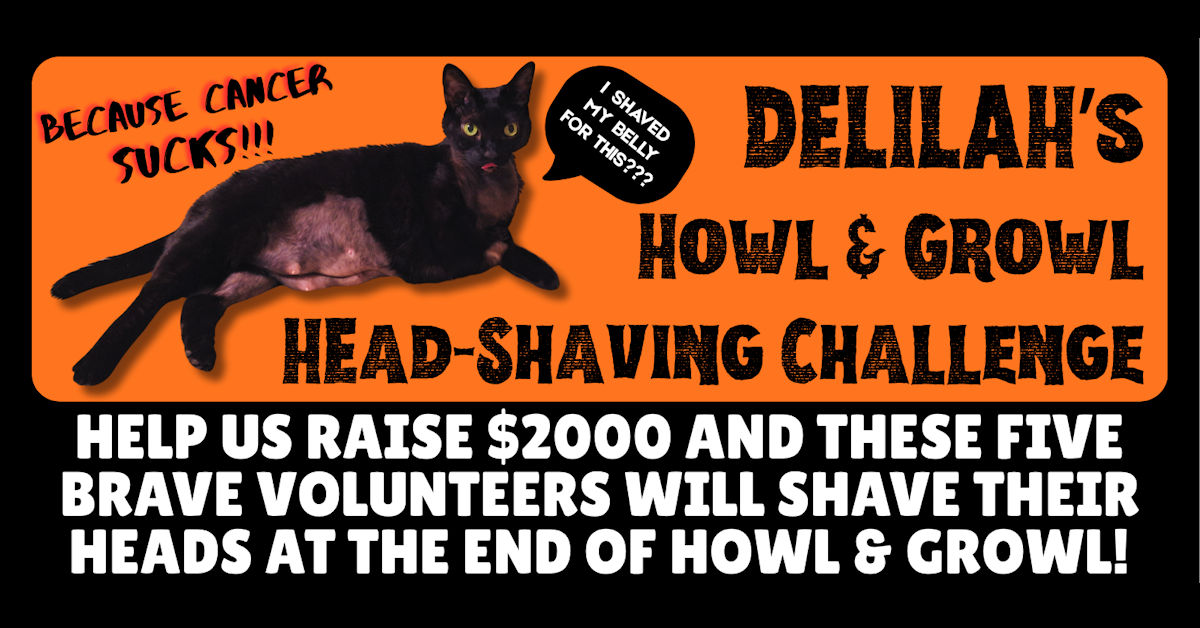 Delilah's Howl & Growl Head-Shaving Challenge!