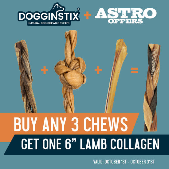 Image of Dogginstix | FREE 6in Lamb Collagen with Qualifying Purchase Promotion in Newburyport