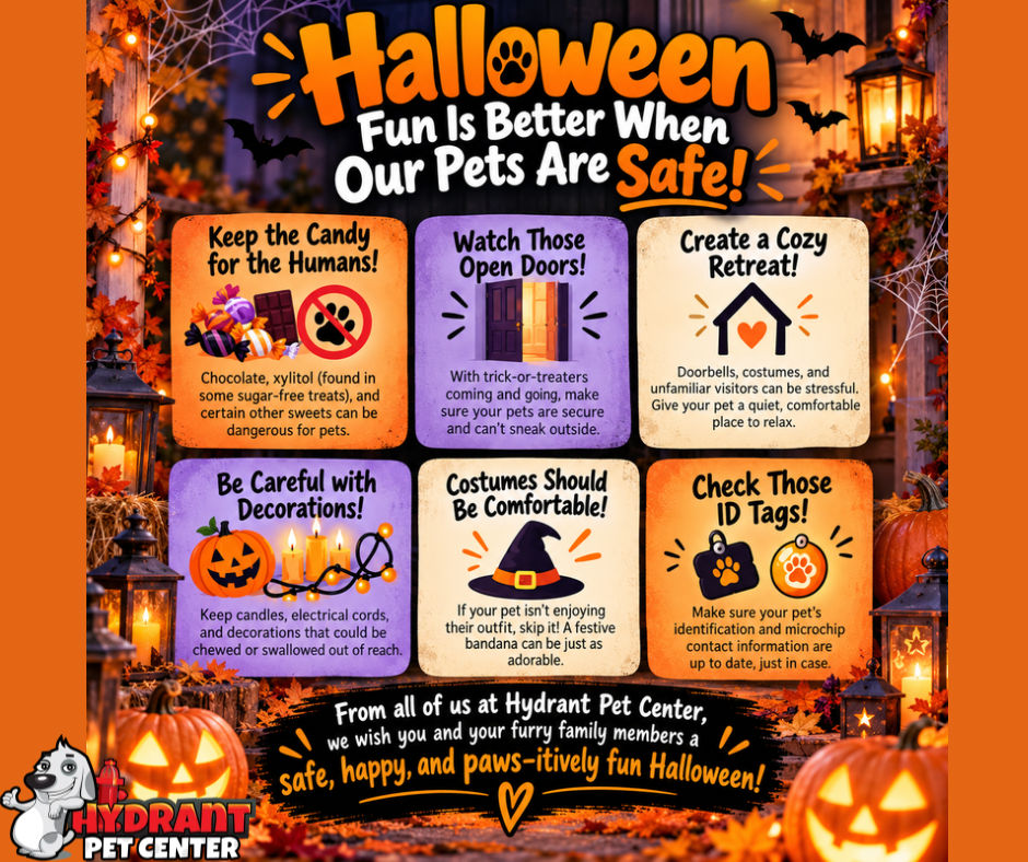 Halloween Pet Safety: 6 Tips for a Safe and Happy Howl-oween!
