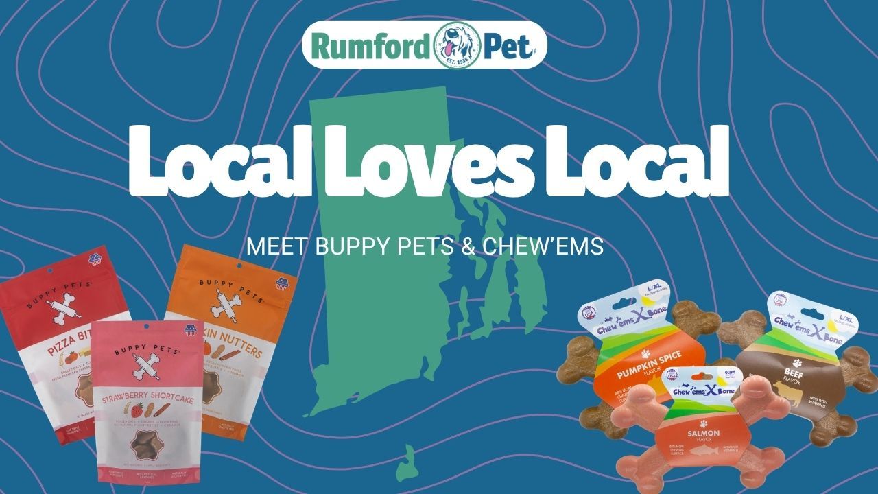Local Loves Local: Meet Buppy Pets & Chew Ems