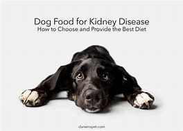 renal failure diet for dogs