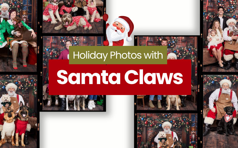 Image of blog post Santa Pet Photos in Monroe, Everett & Redmond, WA
