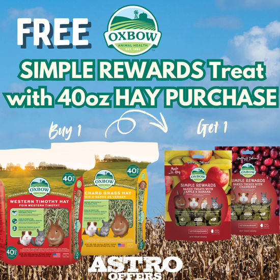 Image of Oxbow | FREE Simple Rewards Treat with 40oz Hay Purchase Promotion in Saint Petersburg