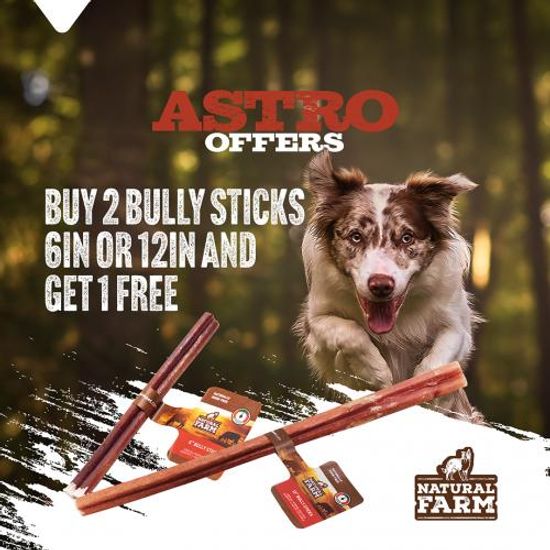 Image of Natural Farm Pet (Private Offer) | Buy 2, Get 1 FREE on  Select Single Odor Free Bully Sticks Promotion in Marion