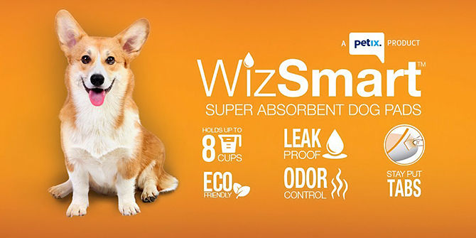 wizsmart puppy pads