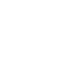 Pet Taxi