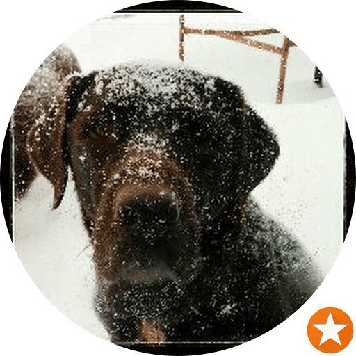 Woof Gang Bakery & Grooming Bridgewater