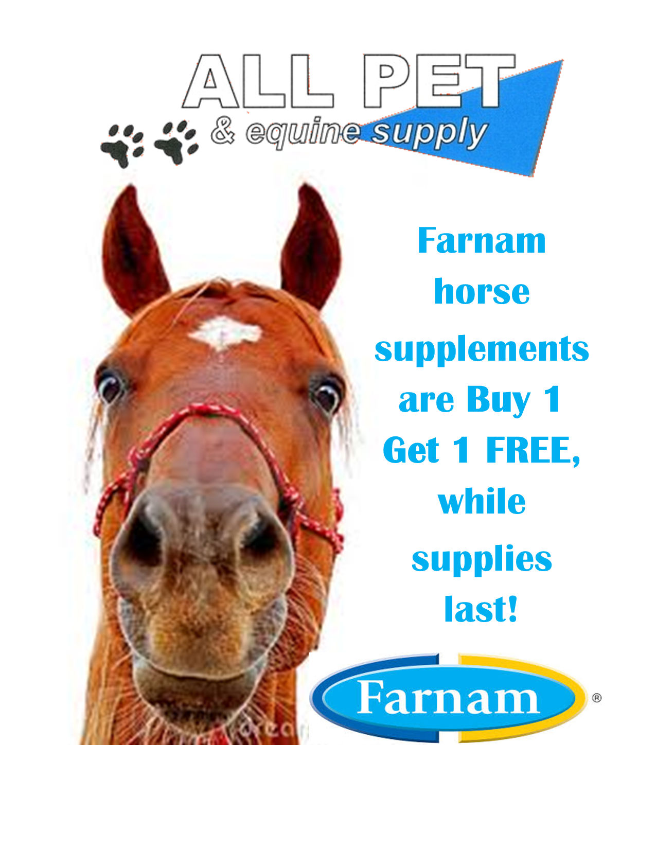 equine supply store