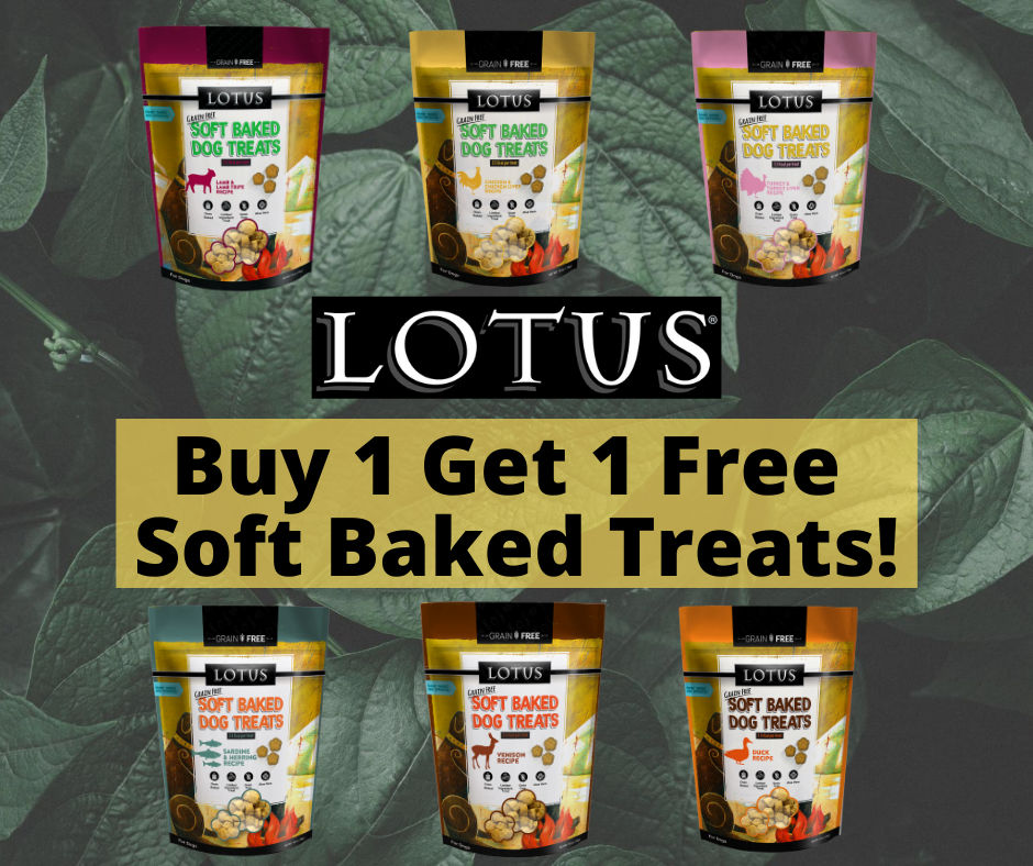 Buy 1 Get 1 Free Lotus Soft Baked Dog Treats - Sarasota, Florida