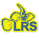 Lrs Foods Dallas Texas