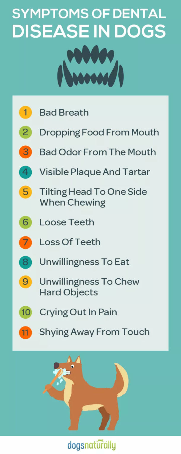 signs of dental disease