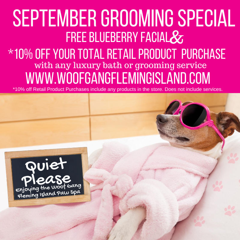 September Grooming Special Fleming Island, Florida