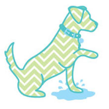 Puddle Jumper Pups Greenville South Carolina