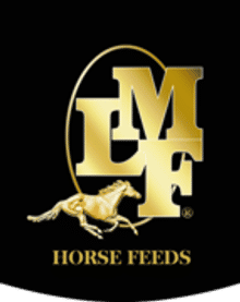 LMF Salt Lake City Utah