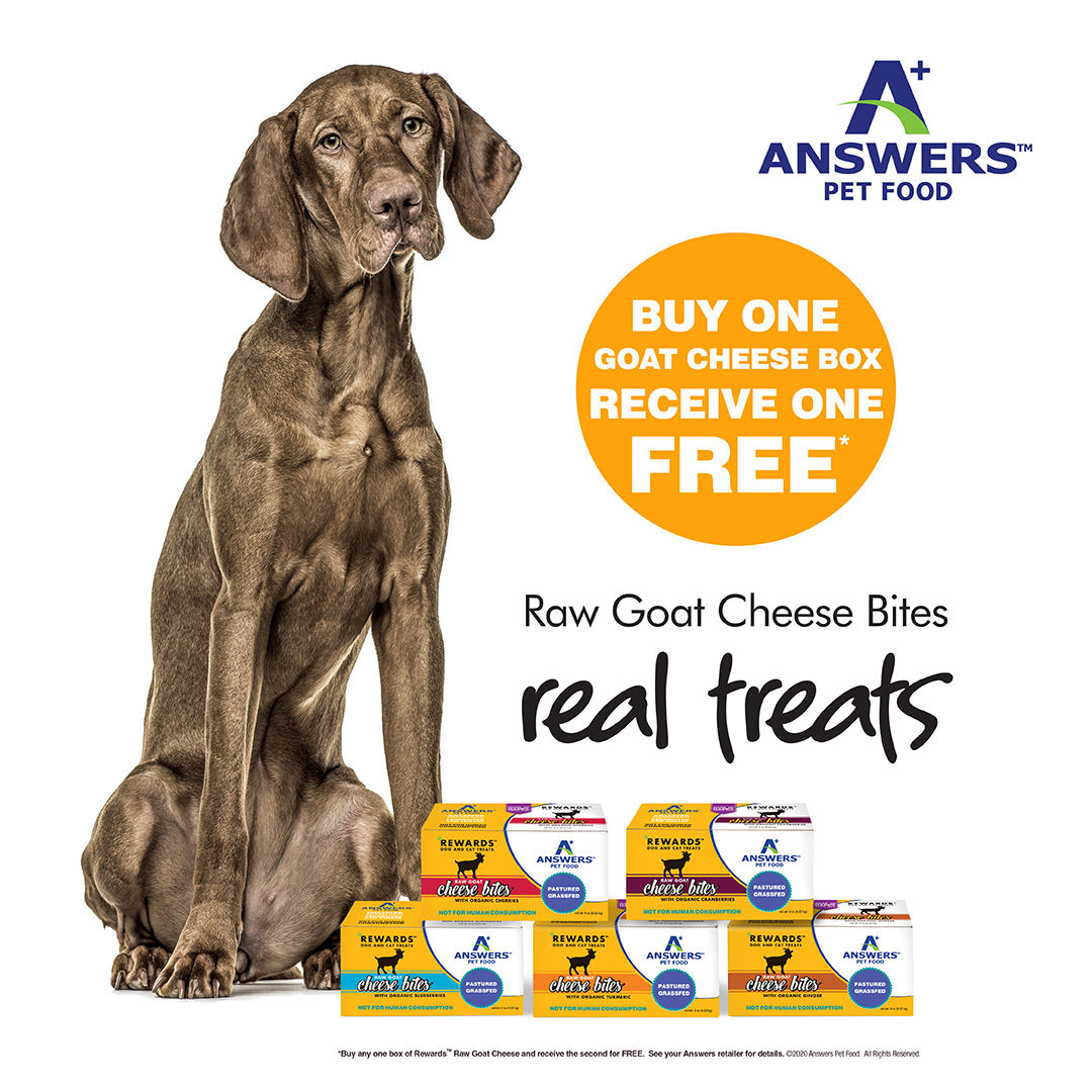 buy one get one free dog food