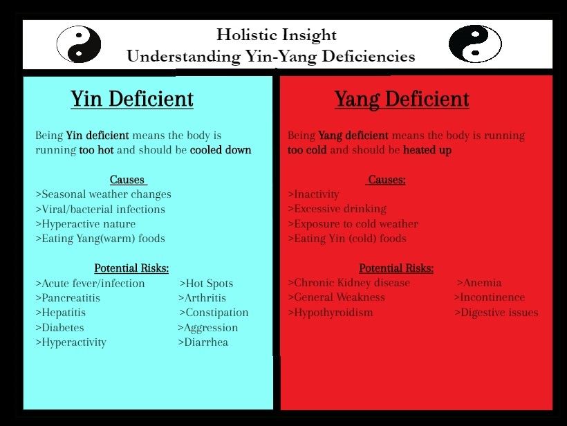Holistic Insight Understanding Yin Yang Deficiency Whippany New Jersey