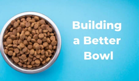 Building a Better Bowl