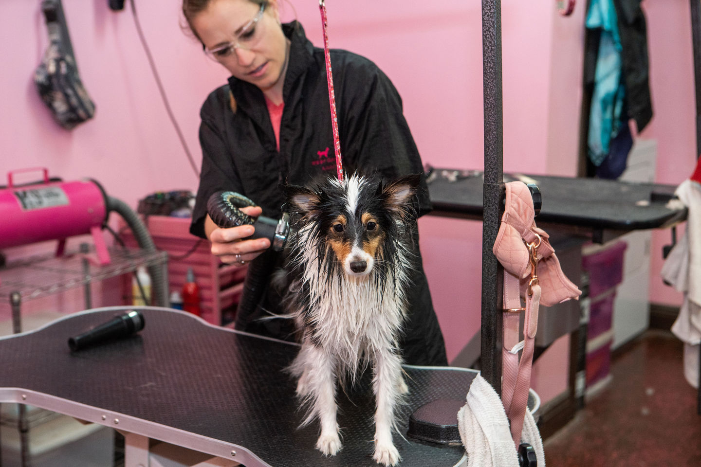 Woof Gang Bakery & Grooming San Antonio