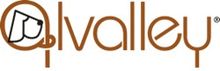 Alvalley Salt Lake City Utah