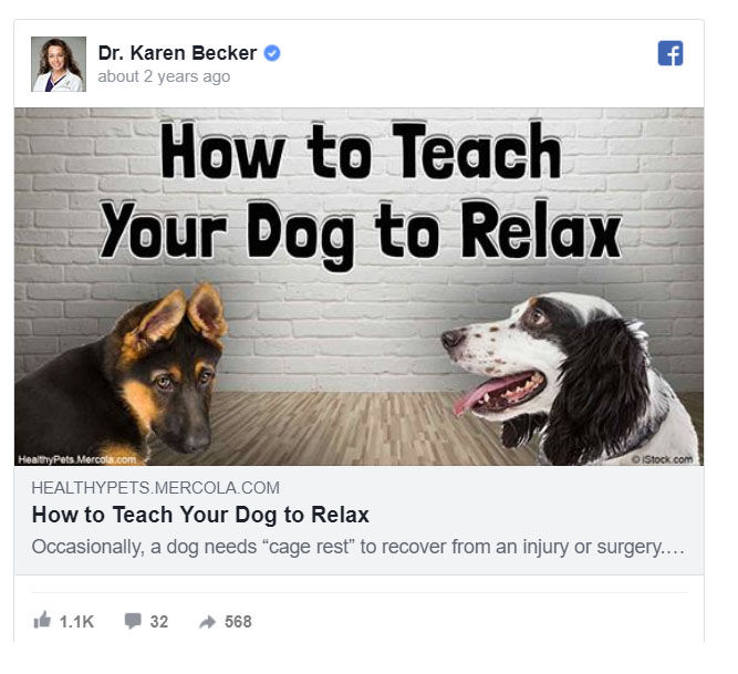 Picture of How To Teach Your Dog To Relax - Delafield, Wisconsin