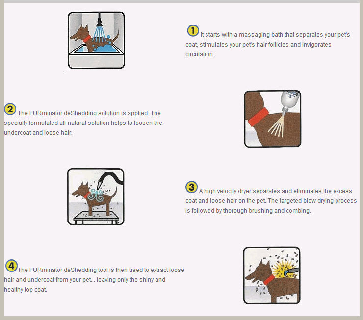 Pet Grooming Salon In Kansas City Elkhound Ranch Kennels