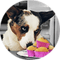 Locally Made Treats