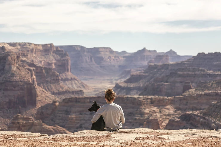 Travelling This Summer With Your Dog? (Get your furry friend vaccinated)