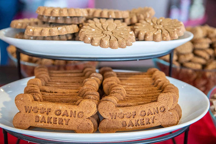 Local dog shop treat bakery