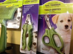 Nail Trimming Tips