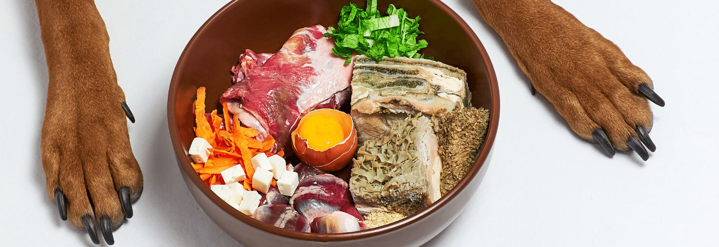 Quick Dog Food Recipe when you're out and store is closed