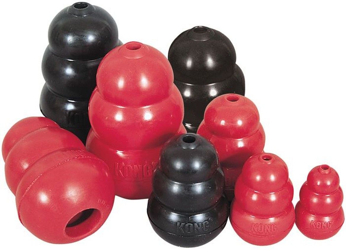 kong-stuffer-recipe-fort-lauderdale-florida