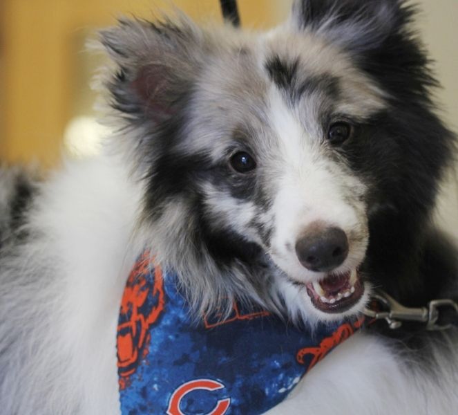 Are you ready for some football?