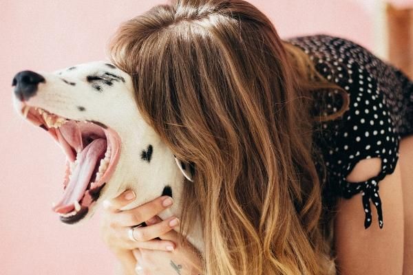 Image of blog post Good Dental Hygiene is a Must for Your Pet's Optimal Health: