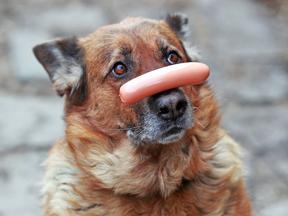 If You Knew What’s In A Hot Dog, You’d Never Eat One Again.