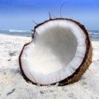 The Benefits of Coconut