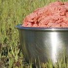 Transitioning to a Raw Diet
