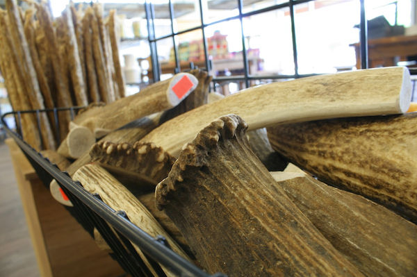 Raw Bones for Dogs and Cats