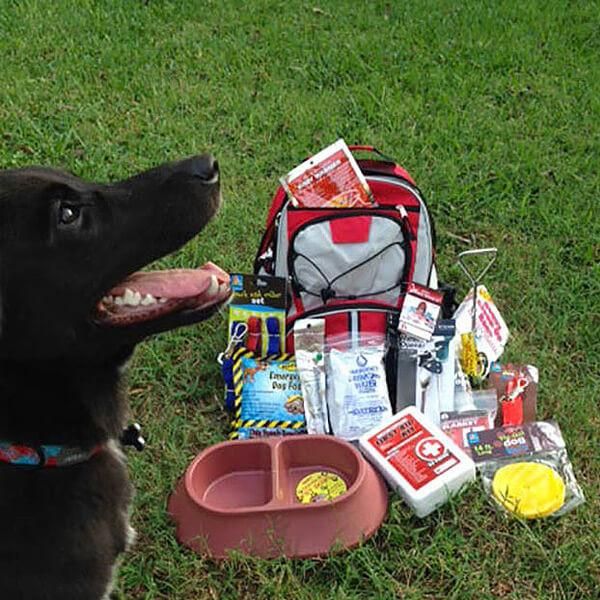 Are You And Your Pet Prepared For An Emergency? - Port Washington, Wisconsin Are You And Your Pet Prepared For An Emergency? - Port Washington, Wisconsin