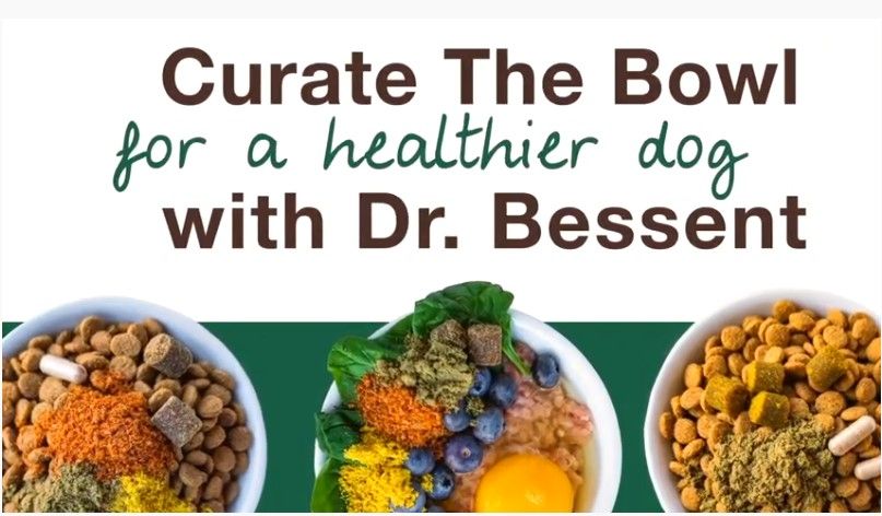 Curate the Bowl for a Healthier Dog