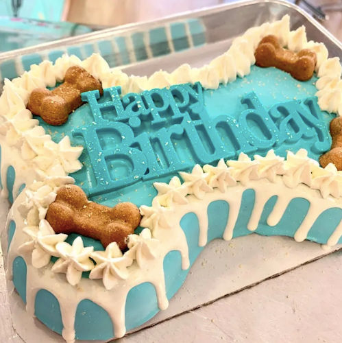 Dog Bakery For Pets Dog Cakes Treats In Missouri City At Wishbone Pet Care Missouri City