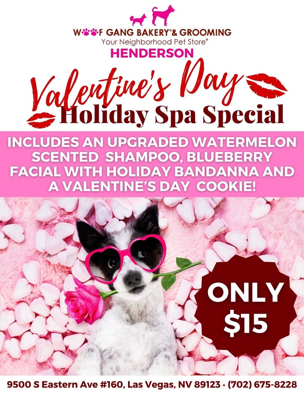 Dog grooming specials deals