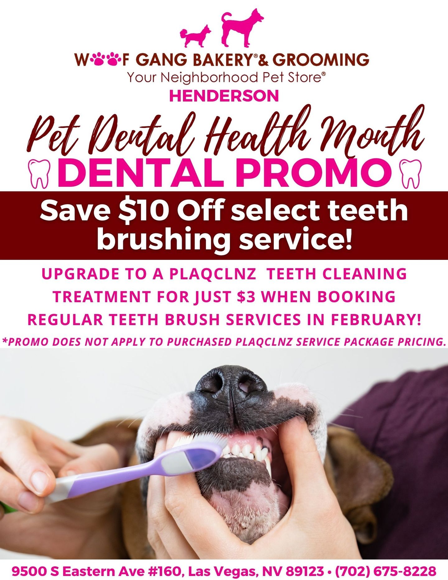 Promote Your Pets Healthy Smile & Fight Bad Breath!